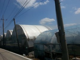 부동산법원경매2