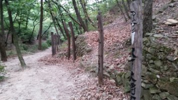 여장군 이미지