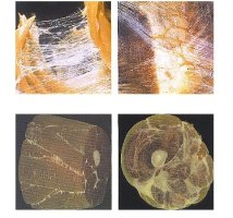 전신마사지가격3