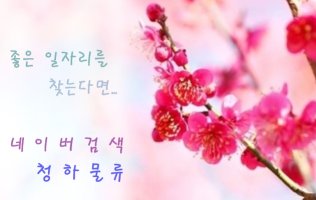 대구지입차매매3