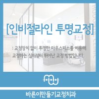 인비절라인후기2