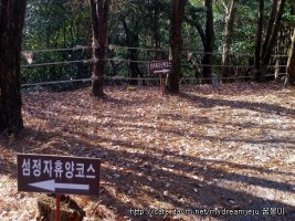 그린밸리휴양펜션1