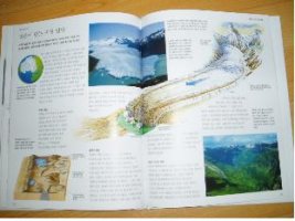 킹피셔백과사전5