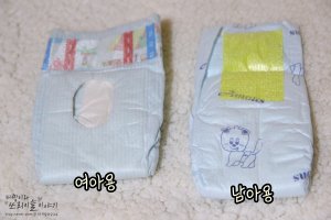 강아지기저귀4