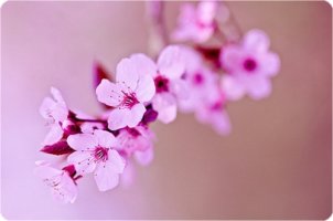 사랑했던 날보다 / 이정하