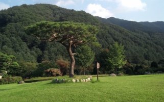 아침고요수목원펜션5