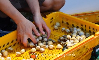 서해안갯벌체험3