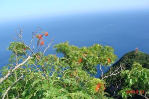 울릉도독도여행2