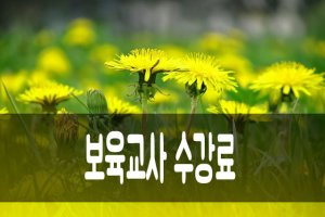 보육교사수강료3