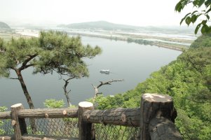 참새식품 이미지