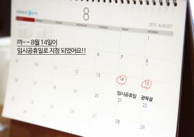 공휴일진료안과2