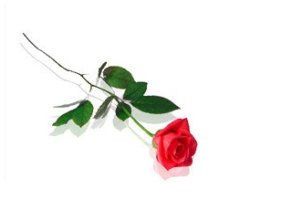 삼성생명실비보험4