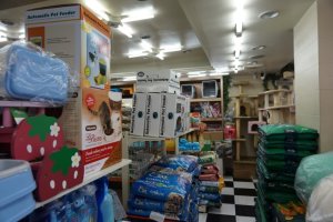 강아지사료싼곳1