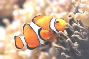 리마인드웨딩촬영가격4