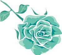 성남메조테라피4