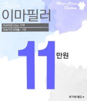 대전이마필러가격1