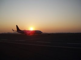 대구제주항공료4