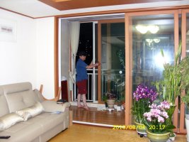 거실인테리어벽지1