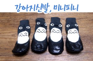 강아지신발1