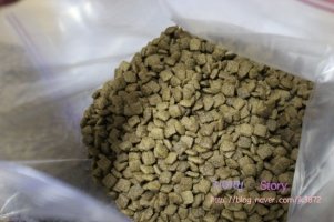 ANF홀리스틱사료3