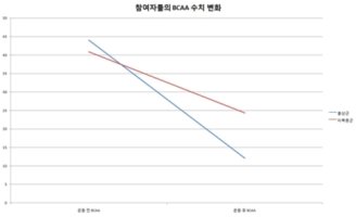 피로회복영양제1