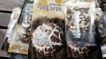 표고버섯가격3