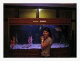 신혼여행보라카이1