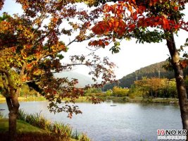 자기소개서영문4