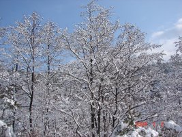 설악산,눈구경하세요