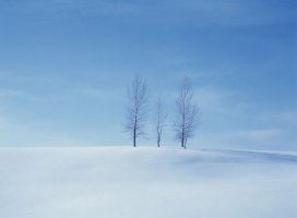 미술심리상담사5