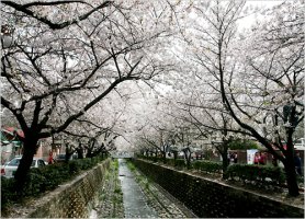 경기도드라이브코스5