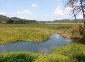 비송사건절차법6