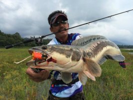 중고루어낚시용품2