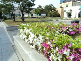 대구올브랜웨딩4