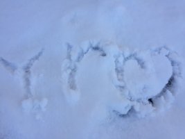 광주여의사산부인과4