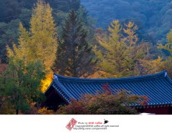 홍천에 가볼만한 곳3