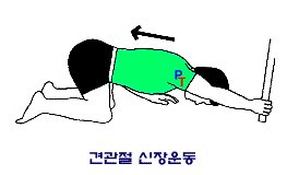 오십견운동2