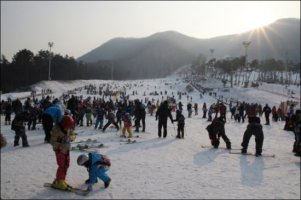 무주리조트할인4