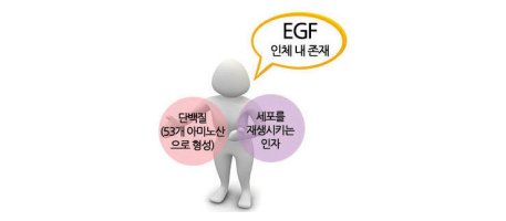 얼굴피부1