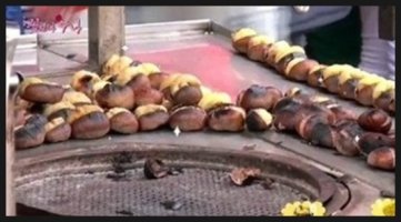 5대 영양소 갖춘 완전 식품 밤!! :: 밤의 효능