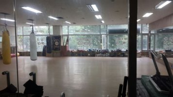 체육관매매5