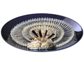복어회 모음