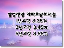 삼성생명담보대출5