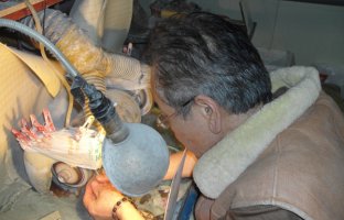 스페인어번역사이트3