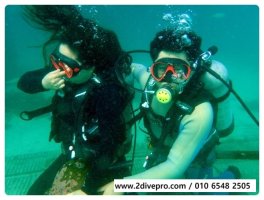 제주도스쿠버다이빙4