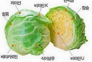 혈액순환에좋은약1