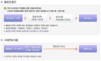 말레이시아국가번호2