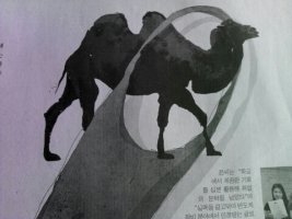 낙타바늘귀