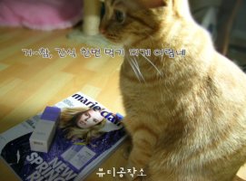 닥터자르트넥크림5