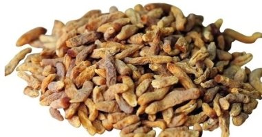 맥문동효능! 요즘 같은 계절에 딱 이죠!